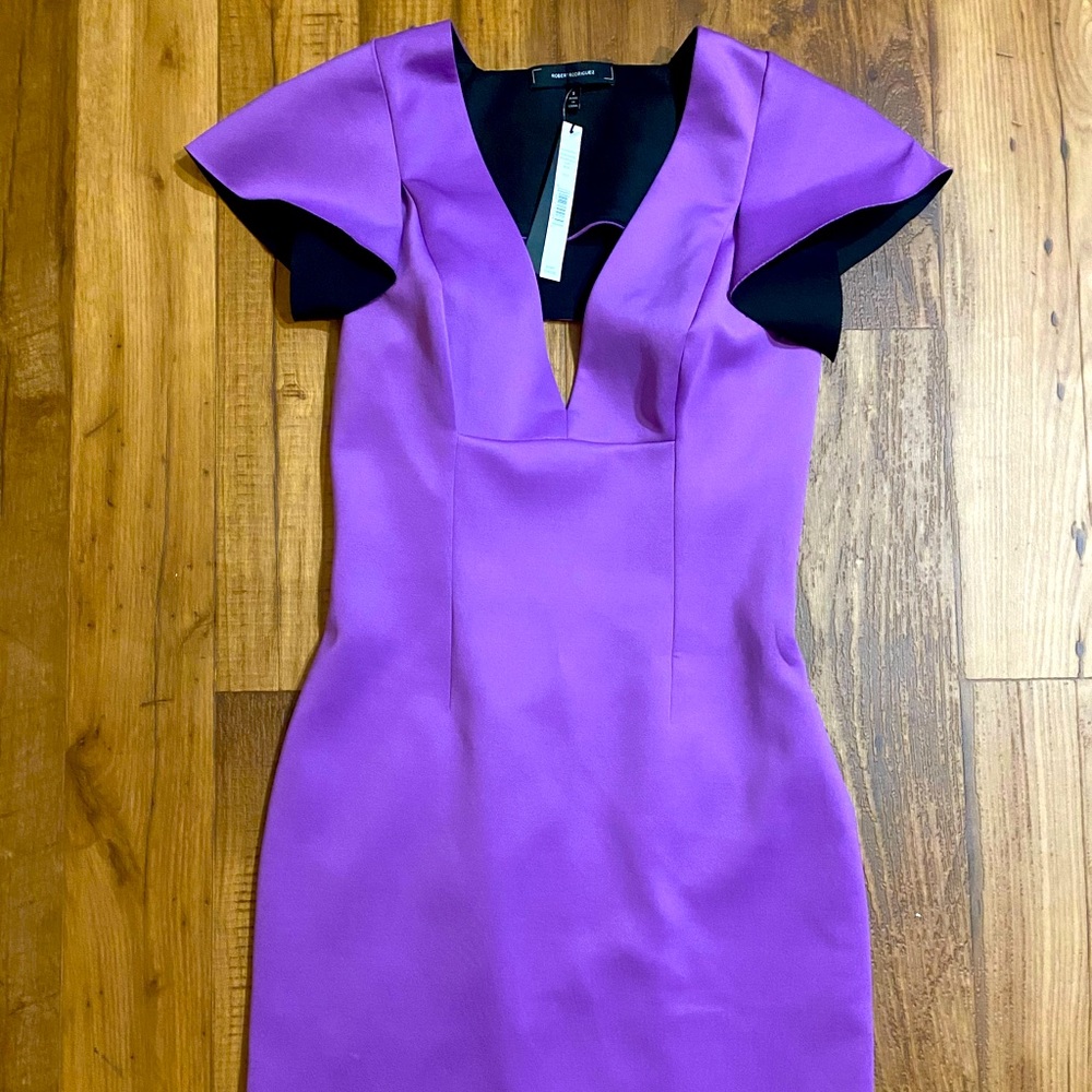 Robert Rodriguez Orchid Dress